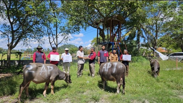 PT Angels Products Salurkan Hewan Kurban untuk Warga Bojonegara dan Margagiri