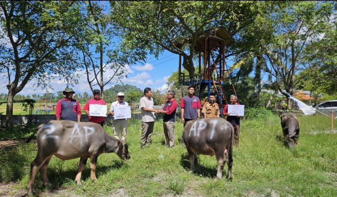 PT Angels Products Salurkan Hewan Kurban untuk Warga Bojonegara dan Margagiri