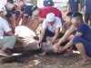 Wujud Kepedulian dan Kebersamaan, Lapas Serang Gelar Pemotongan Hewan Qurban Bersama Warga Binaan