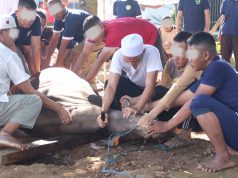 Wujud Kepedulian dan Kebersamaan, Lapas Serang Gelar Pemotongan Hewan Qurban Bersama Warga Binaan