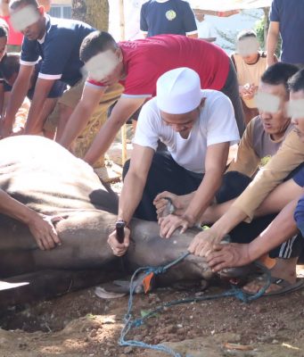 Wujud Kepedulian dan Kebersamaan, Lapas Serang Gelar Pemotongan Hewan Qurban Bersama Warga Binaan