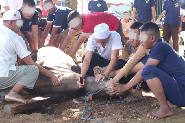 Wujud Kepedulian dan Kebersamaan, Lapas Serang Gelar Pemotongan Hewan Qurban Bersama Warga Binaan